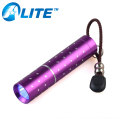 Mini Pocket Flashlight Torch Black Light